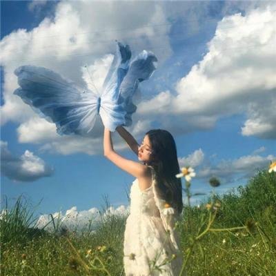 寻找小津